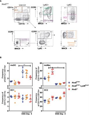 Loss of NOD2 in macrophages improves colitis and tumorigenesis in a lysozyme-dependent manner